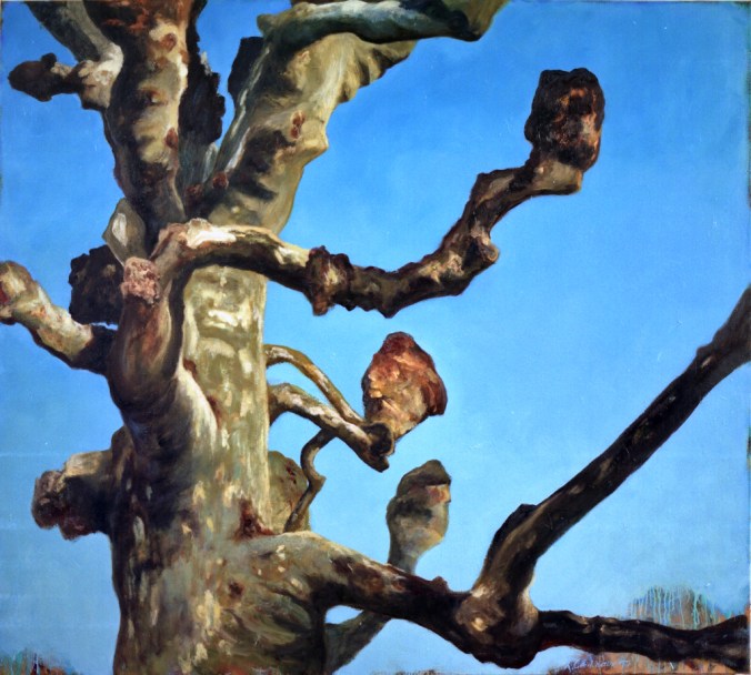"Platane", 1997, huile sur toile, 170 x 190 cm